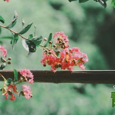 美高梅网址手机app下载截图